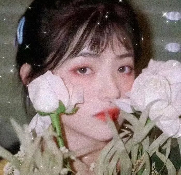 校花驾到之极品校花